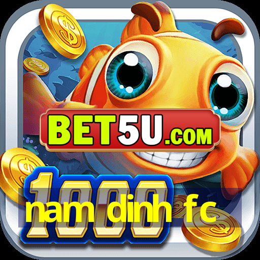 nam dinh fc